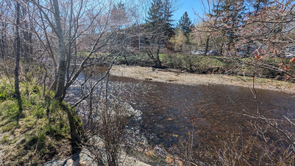 Bedford Sackville Connector – An Idea Dry Run